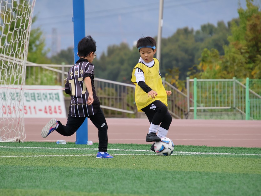 30ddf48c6850277cc1368b191d72c3a3_1792992547_6526.JPG