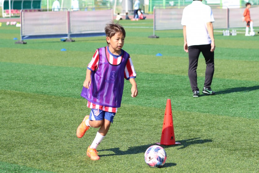 fc3393e126fa3f97130f6d1778eb8739_1792394820_6151.JPG